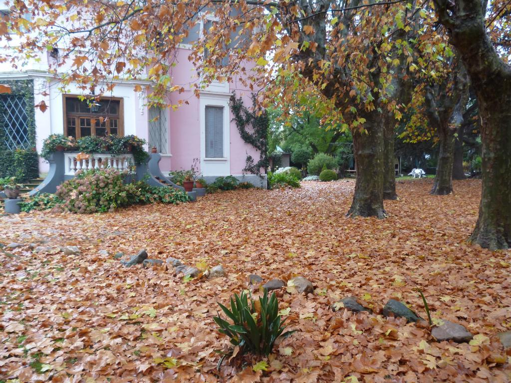Hotel Alihuen Sierra de la Ventana Kültér fotó